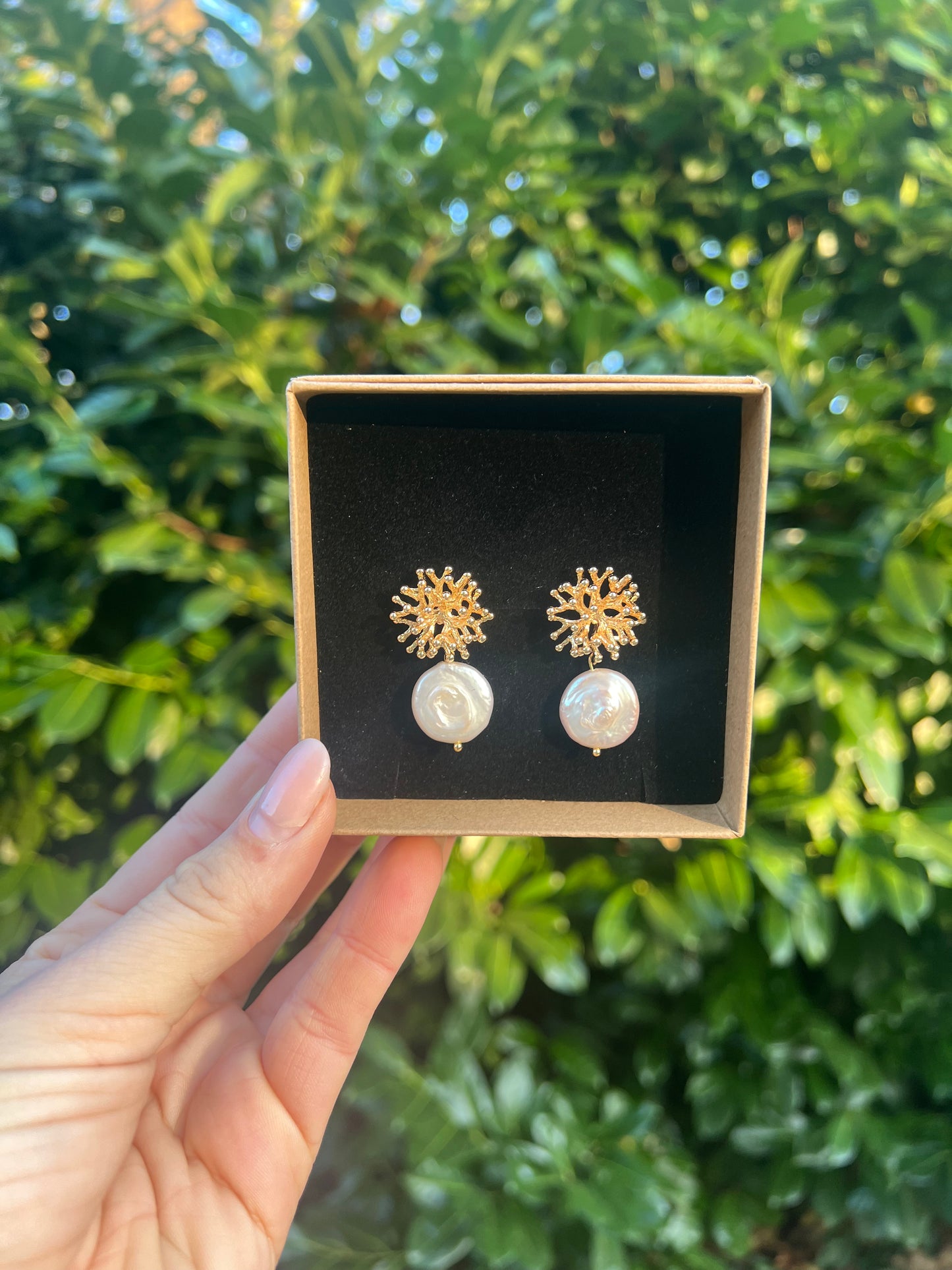 Corals