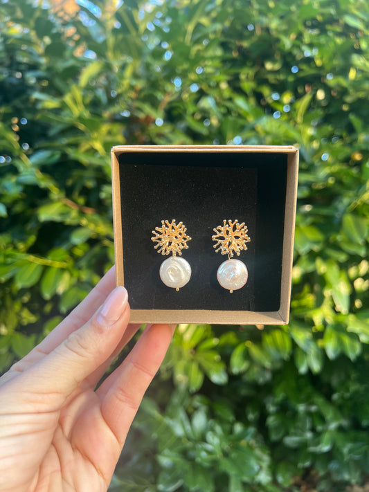 Corals
